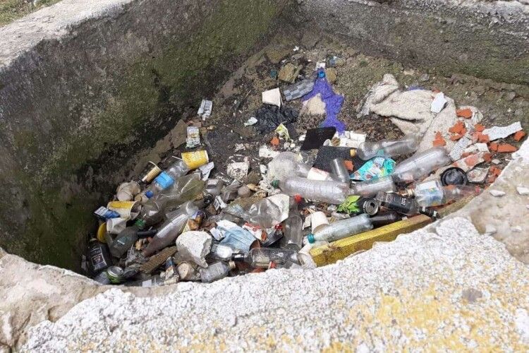 Біля Волинської обласної ради не прибирають сміття (Фото)