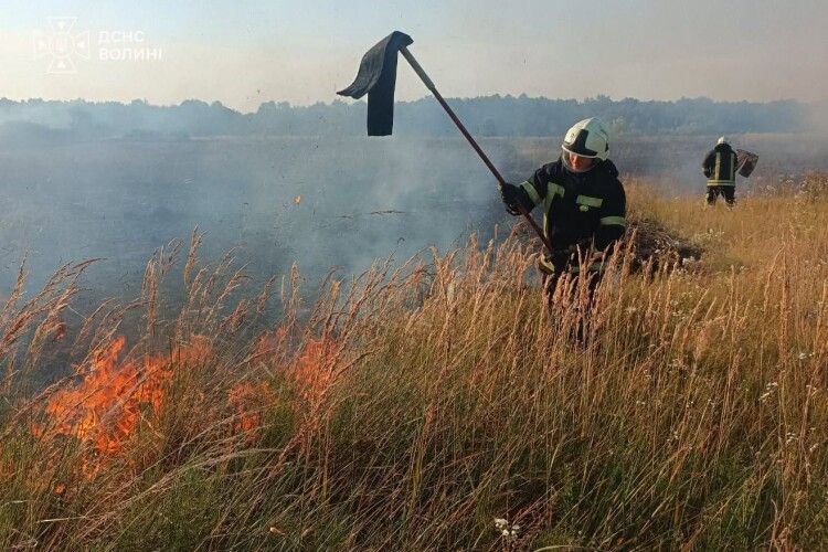 На Волині загорілося пшеничне поле з вини комбайнера
