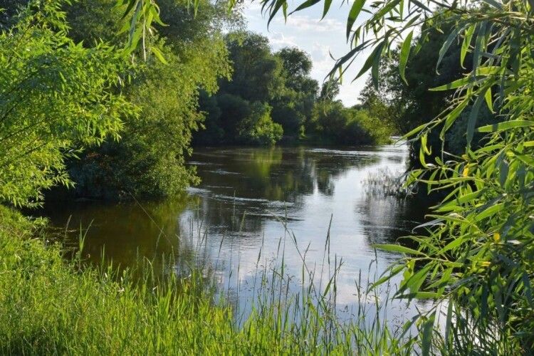 Визначили якість води в річці Стир біля атомної електростанції