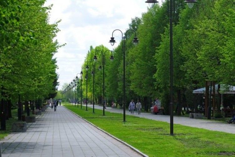 На ремонт сходів у луцькому парку витратять майже 300 тисяч