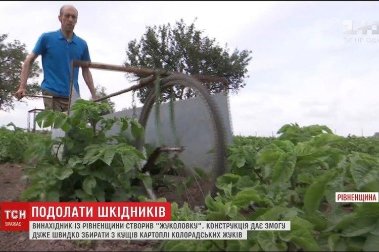 Житель Рівненщини винайшов жуколов [ВІДЕО]