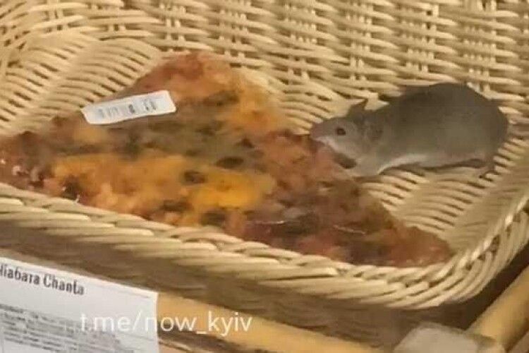 Щур їв піцу на очах у відвідувачів супермаркету (Відео)