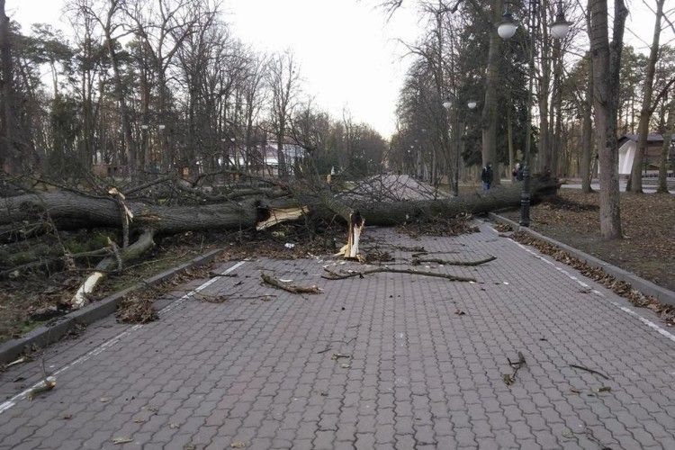 Підсумки негоди: двоє загинули і четверо в лікарнях – рятувальники