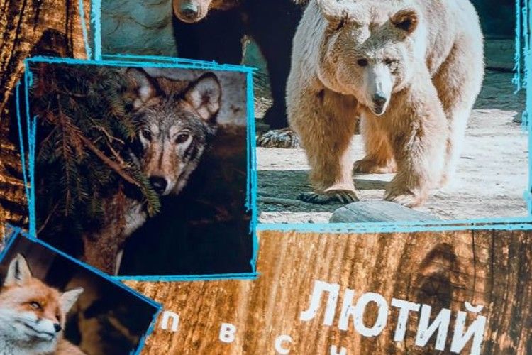 Луцький зоопарк пропонує за 100 гривень повісити на стіну свиню, ведмедя та пелікана (фото)