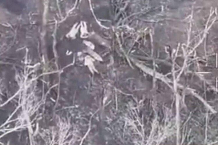 Росіяни розстріляли українських полонених