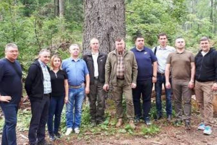 Українські лісівники поїхали у Словенію