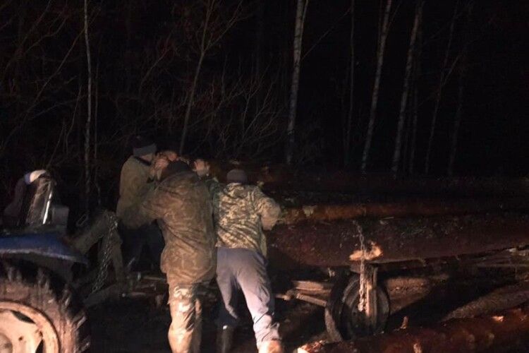 На Рівненщині затримали шістьох лісокрадіїв