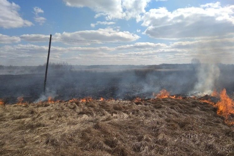 На Волині горіла суха трава та чагарники