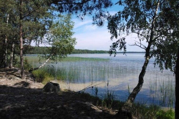 На Волині в шести водоймах виявили кишкову паличку