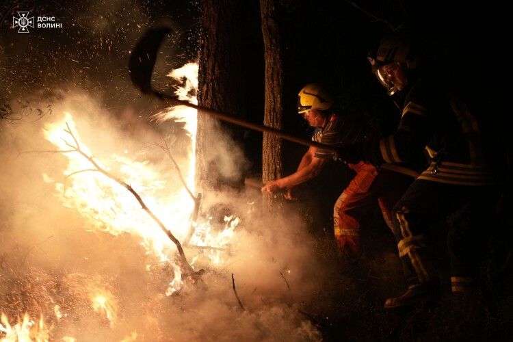 У Луцькому районі рятувальники боролися з лісовою пожежею