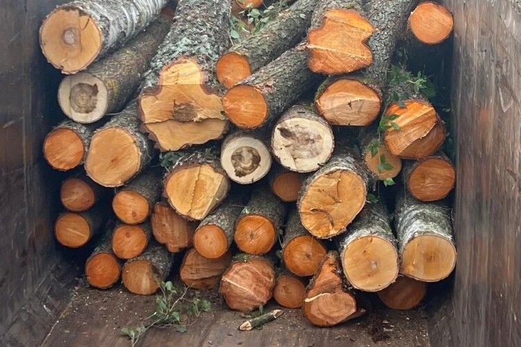 На Волині зупинили навантажену краденим лісом автівку