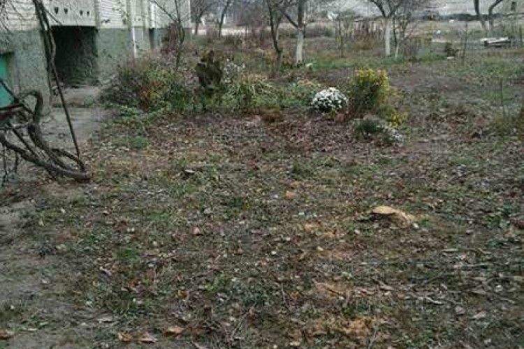 У Луцьку голова ОСББ одноосібно виніс «смертний вирок» кільком яблуням та вишням