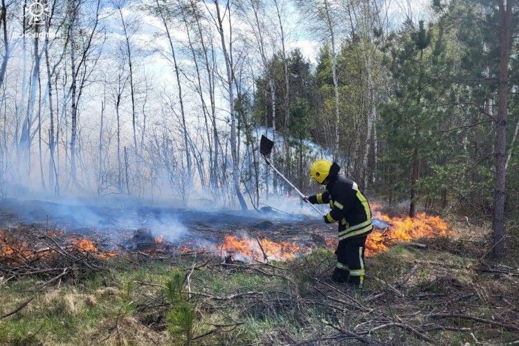 Гасити ліс біля Заболоття на Волині вогнеборцям допомагали лісівники і місцеві жителі