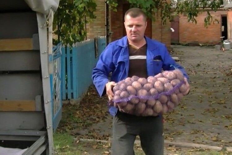 На Волині збирають городину для пацієнтів госпіталю ветеранів війни