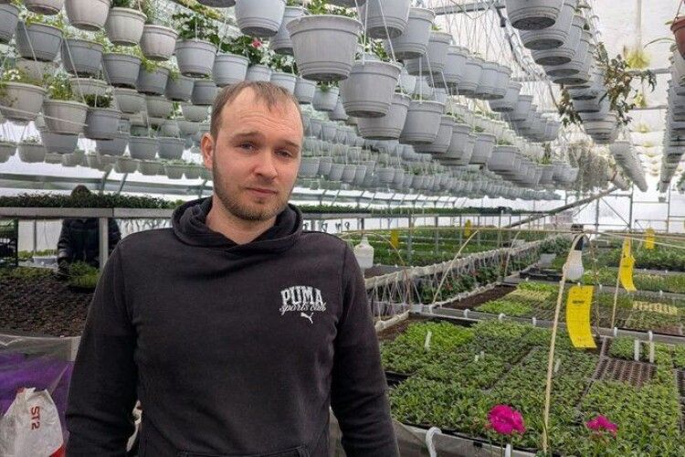 «Люди хочуть бачити щось кольорове»: як волинянин вирощує 5 тисяч квітів у власних теплицях