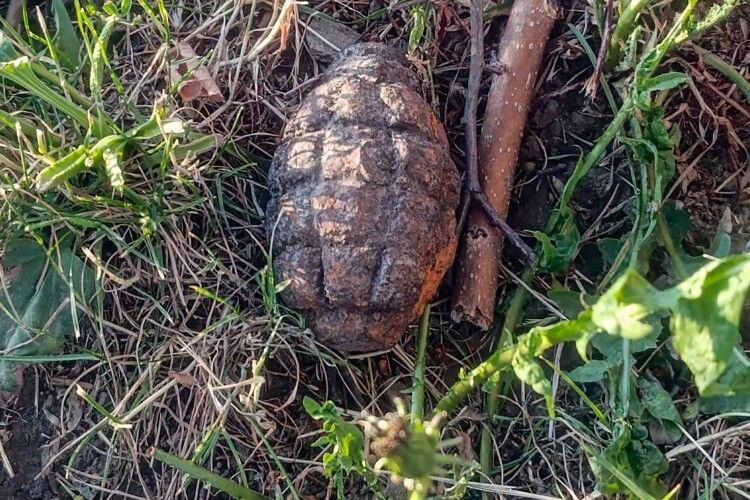 На Закарпатті біля дитячого майданчика знайшли гранату