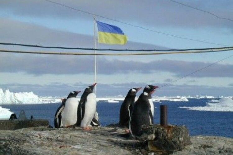 Українські вчені вперше за 20 років отримають криголам для дослідження Антарктиди