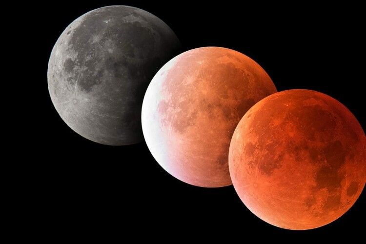 Найбільше за останні п’ять століть: лучани розповіли, як на них вплинуло місячне затемнення (Відео) 