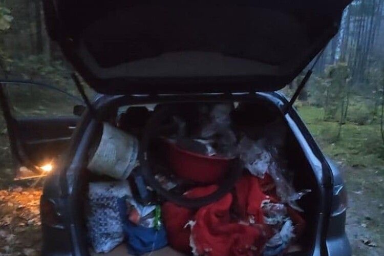 Волинянка прибирає сміття в лісі та пропонує запустити челендж (Фото)