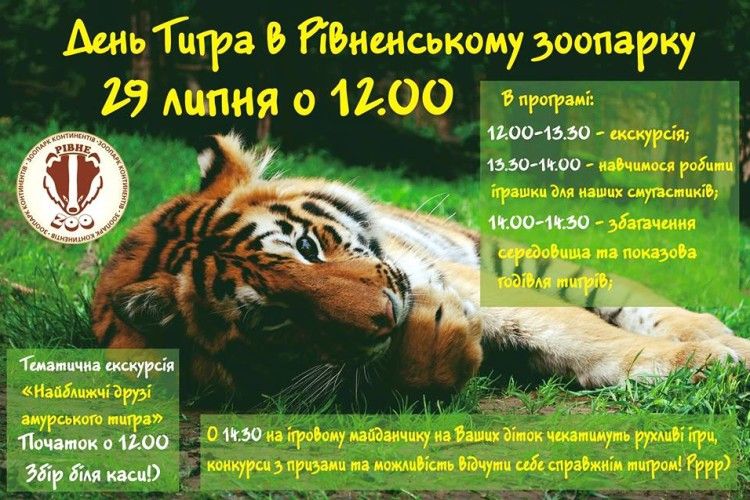 Відвідувачі Рівненського зоопарку сьогодні відчули себе тиграми