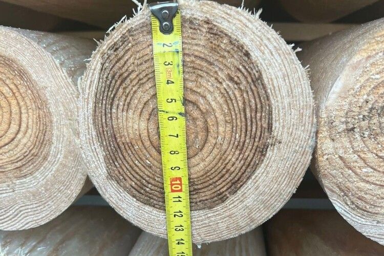 Конфіскація і штраф: на Волині вилучили деревини на 300 тисяч гривень