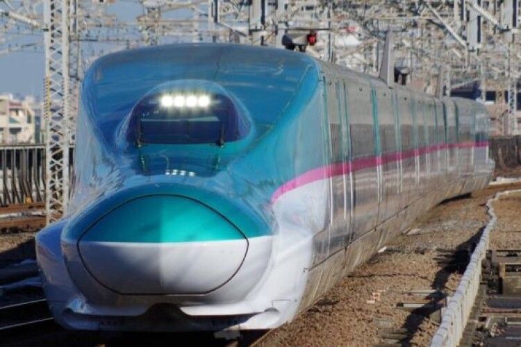 Винним у хаосі на японській залізниці виявився слимак