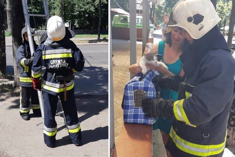 Рівненські рятувальники провернули спецоперацію «Кіт»