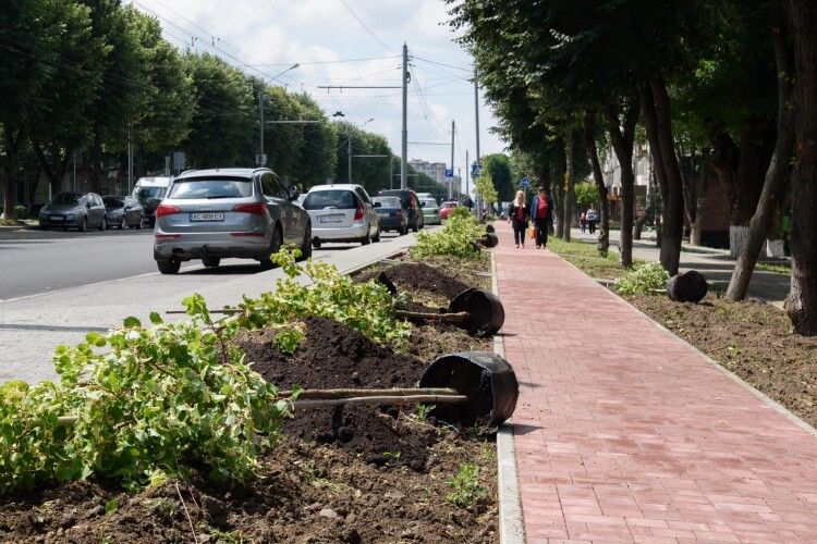 Мер Луцька розповів, що далі робитимуть на центральній вулиці міста