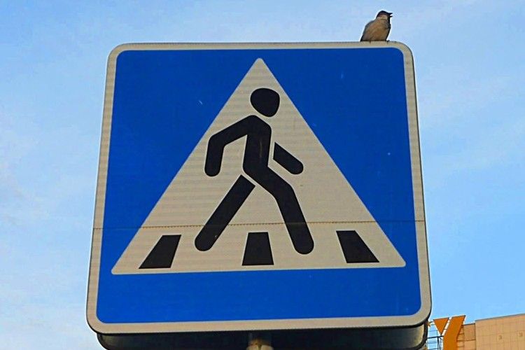 Львівський злодій «спалився», перейшовши дорогу в недозволеному місці 