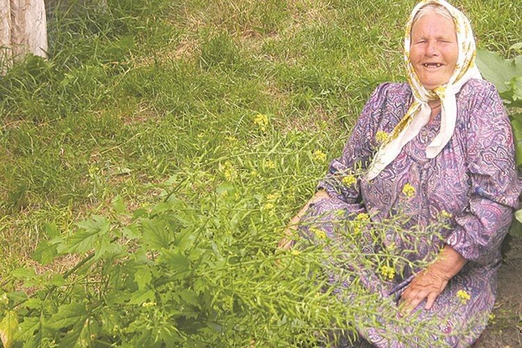 Волинська баба Марія, яка не ходить 28 років, і ягоди збирає, і гриби