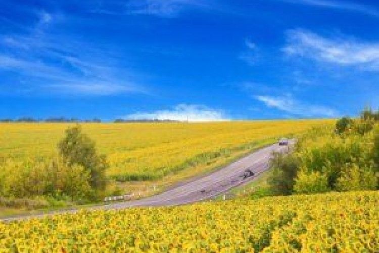 Святкові дні останнього літнього місяця