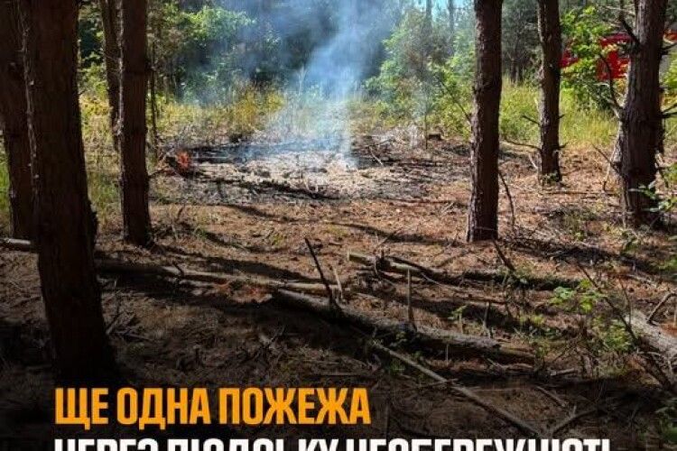 В курортному селі на Волині вогонь швидко поширився по сухій траві