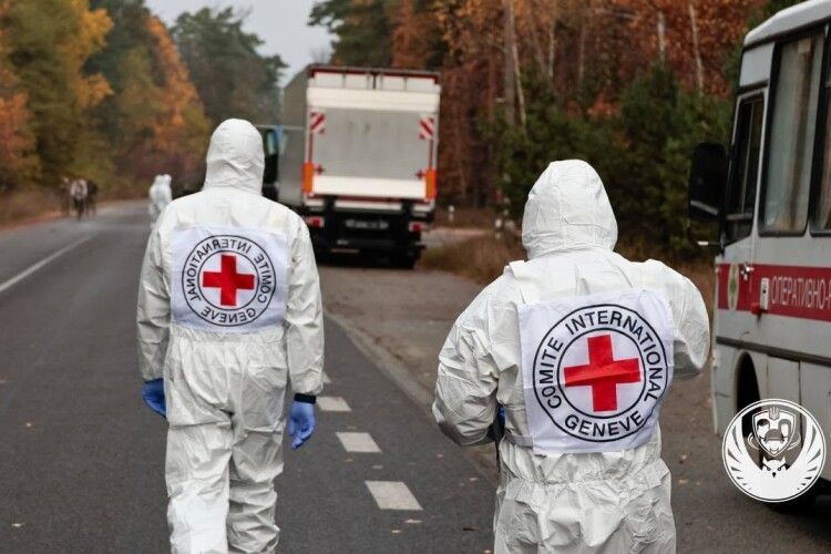 В Україну повернули тіла 252 полеглих захисників