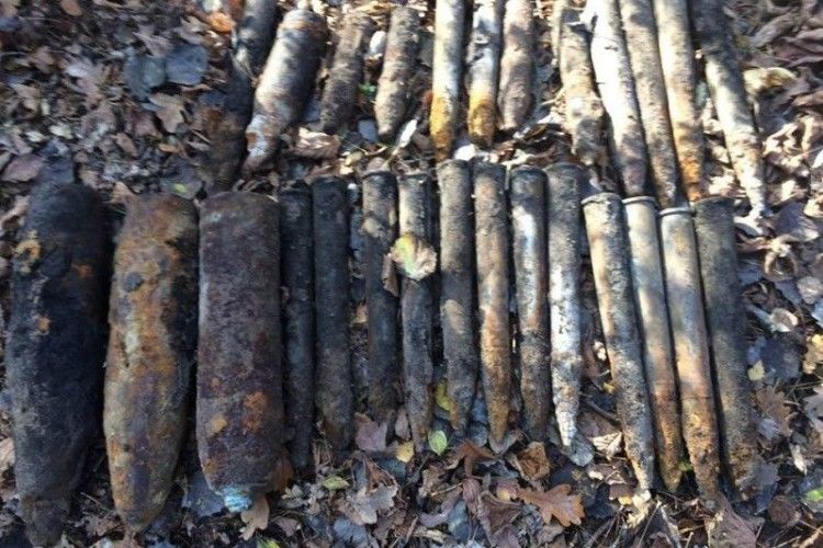 У Зубильному грибники знайшли вибохонебезпечні предмети