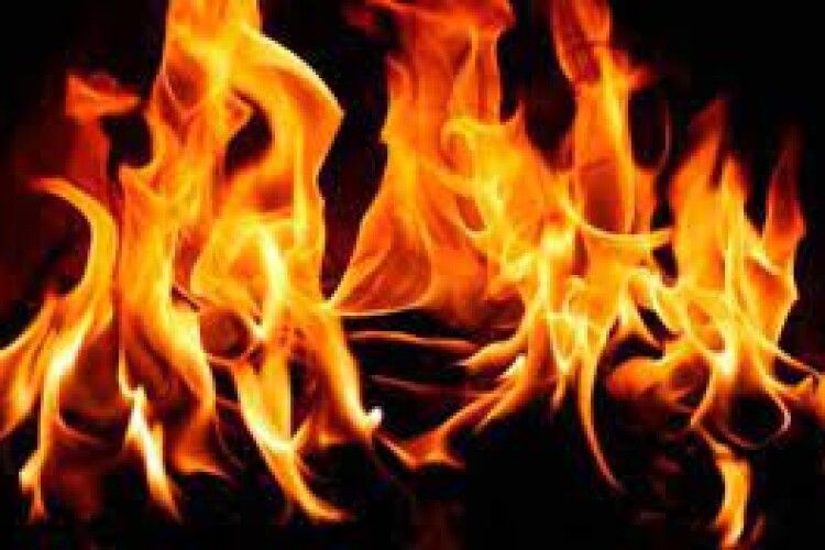 На Рівненщині в пожежі загинули тварини