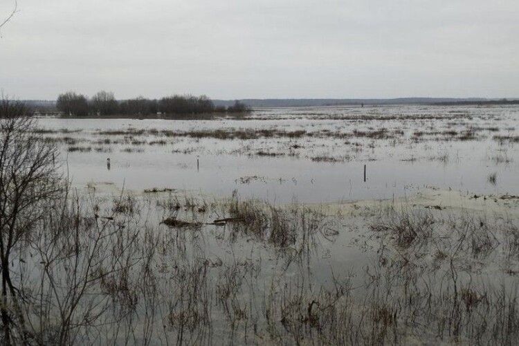 Підтоплення на Волині: у Стоході вода спадає, у Прип’яті - прибуває
