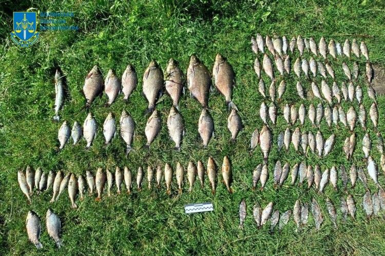 У Луцькому районі рибалка-браконьєр завдав збитків на 663 тисячі гривень