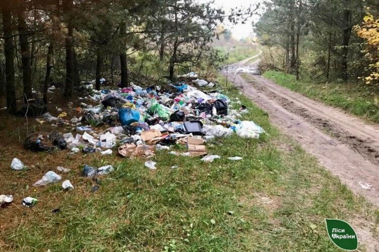 На Волині знайшли спосіб воювати з любителями залишити сміття в лісі 
