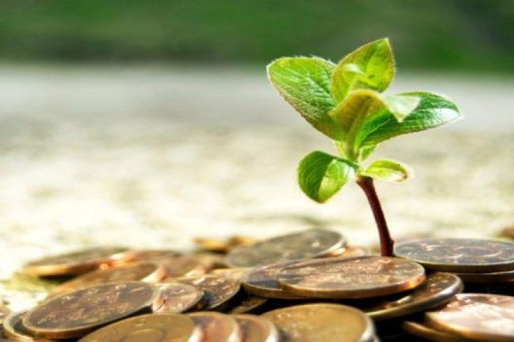 Уряд визнав провал державної підтримки вітчизняних сільгоспвиробників