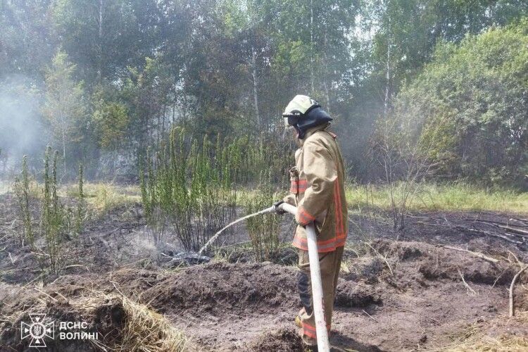 Біля Колок пожежники не дали вогню знищити ліс