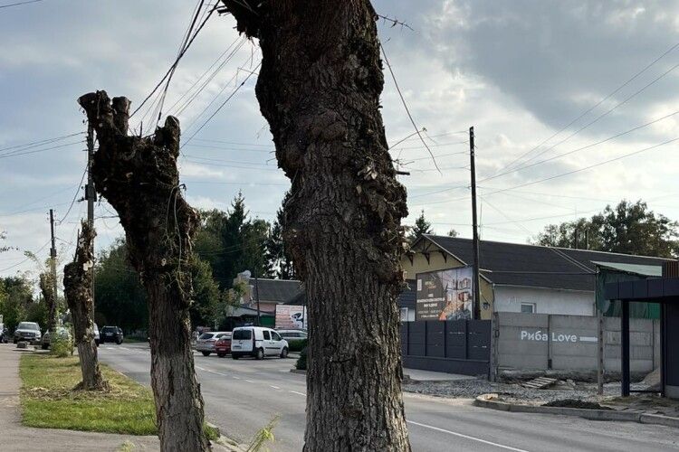 Мер Ковеля пояснив, чому у місті «не буде красивої осені»