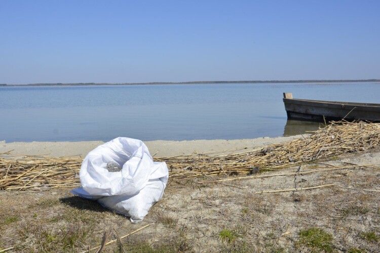 На березі Світязя зібрали понад 20 мішків сміття (фото)
