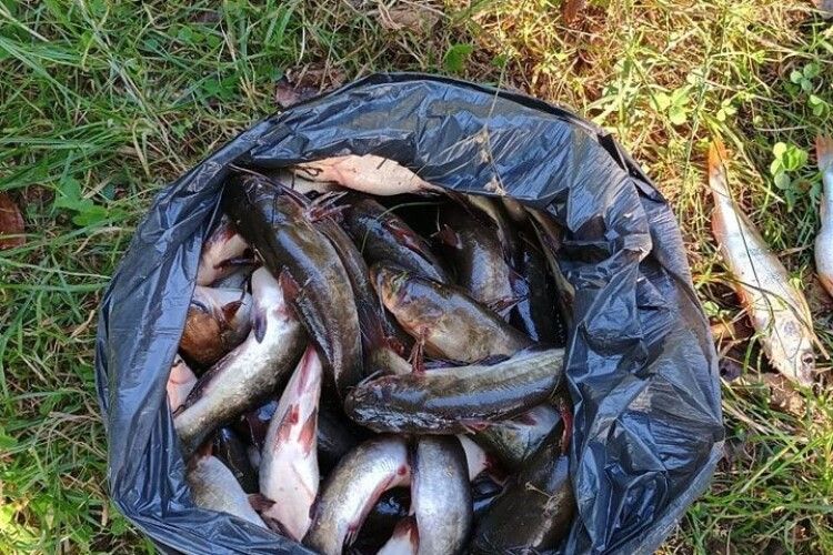 На Шацьких озерах браконьєр наловив риби на 23 тисячі гривень