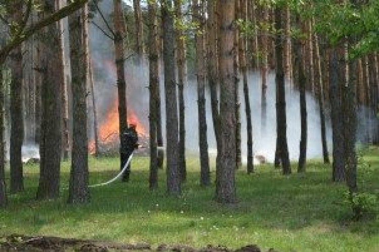 Попередження для уникнення пожеж: пожежний період для лісівників –  гаряча пора