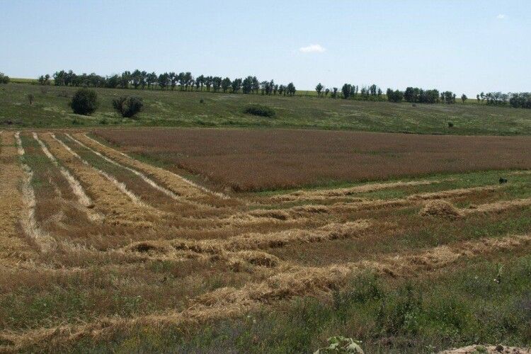 Вартість – понад 9 мільйонів гривень: на Волині орендар незаконно використувує землю громади