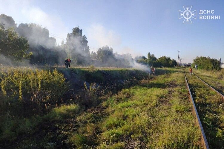 Волинські рятувальники боролися з пожежею сухостою