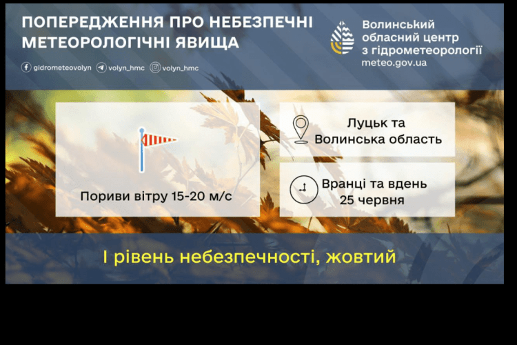 На Волині попередили про дощ і сильний вітер