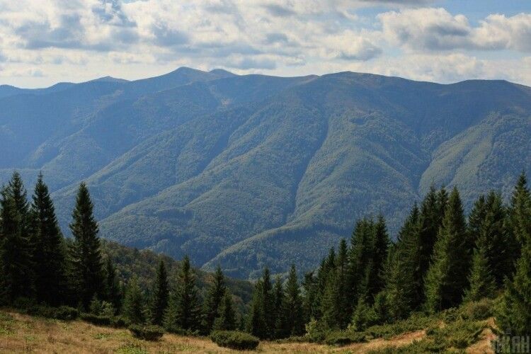 Чортова дюжина туристів потрапила в халепу на Говерлі