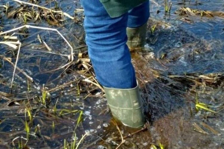 У Луцьку чоловік посеред ночі застряг у болоті