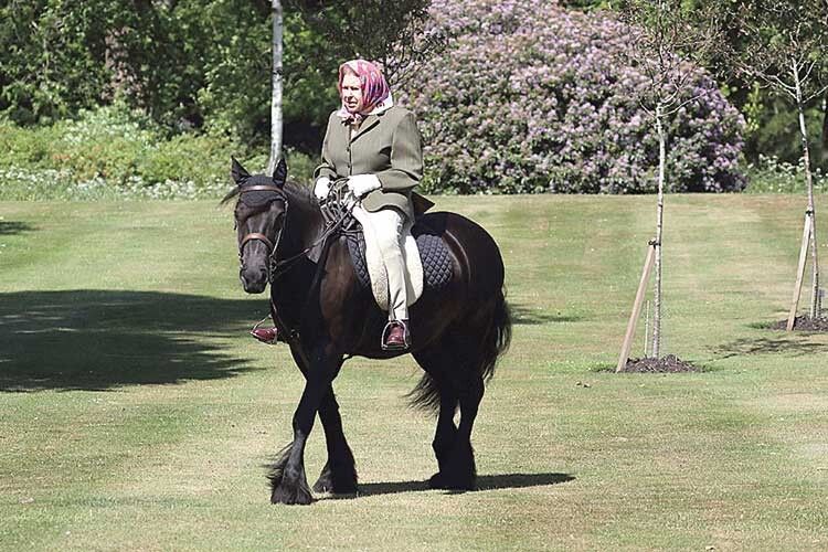 У свої 94 Єлизавета ІІ ще гарцює на коні!